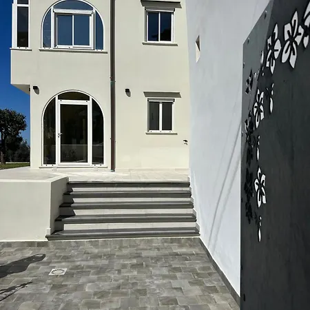 Dalu * Προτσίντα