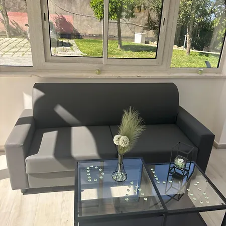 Dalu * Προτσίντα