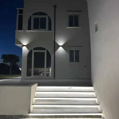 Dalu プロチーダ